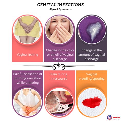 Genital Infections Signs And Symptoms