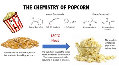 The Chemistry Of Popcorn 180°c Heat Pdf
