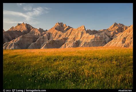 Picturephoto Grasses With Summer Flowers And Buttes At Sunset