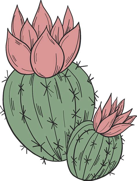 Cactus Clip Art Transparent