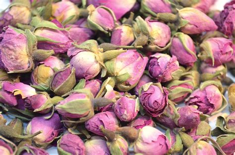 Pink Rose Buds Dried High Quality Natural Rose Buds Etsy Dried
