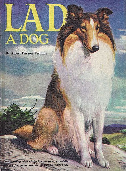 Lad A Dog Dog Books Collie Animal Books