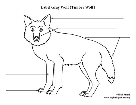 Расшифровка волк Расшифровка генома ужасных волков поставила под
