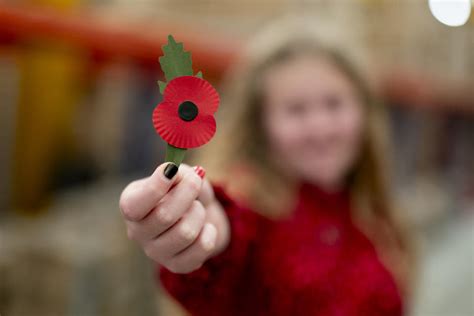 Remembrance Day Where Does The Money You Spend On Poppy Appeal Actually Go