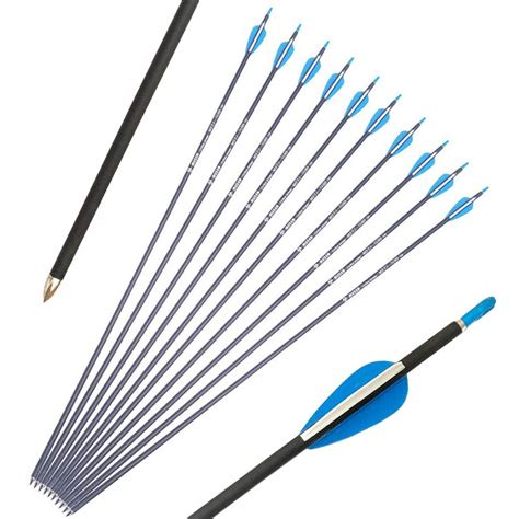 Buy Ameyxgs 31inch Archery Carbon Arrow Hunting Arrows Spine 700 Target
