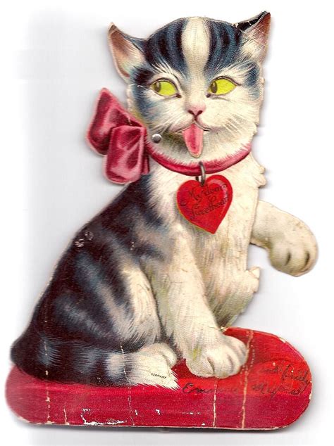 Funniest Valentine Ever Pretty Cats Vintage Valentine Cards