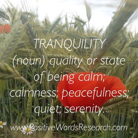 Tranquility ~ Definition And Meaning