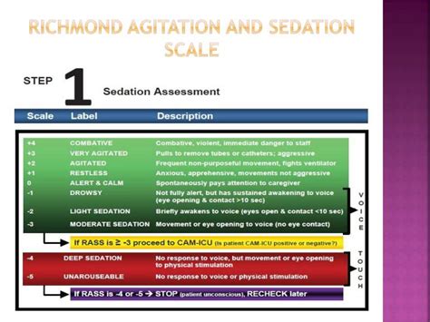 Altering intensive care sedation paradigms to improve patient outcomes. PPT - Richmond Agitation & Sedation Scale PowerPoint ...