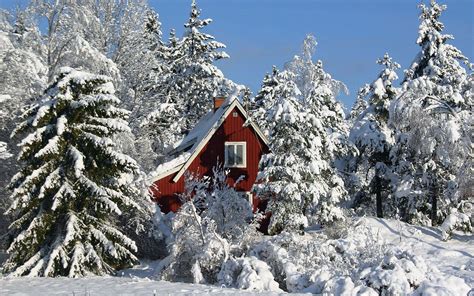 The cabin in the woods 2012 story: Red cabin in the woods wallpaper | nature and landscape ...