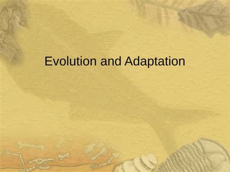Evolution And Adaptation Ppt