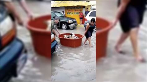 Couple Rescues Puppies After Losing ‘everything To Hanna Flooding In