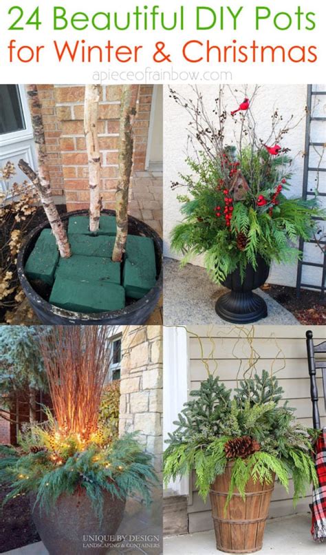 Best Plants For Outdoor Pots In Winter Outdoor Lighting Ideas