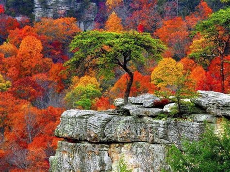 Autumn Shadesjust Beautiful Pictures Photos And Images