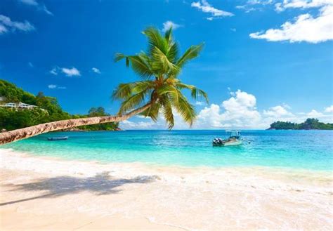 Seychelles Honeymoon Package From Bangalore With Airfareflights