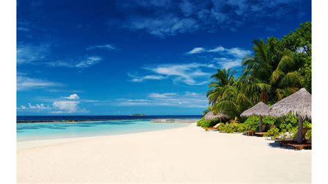 Caribbean Beach Desktop Wallpaper
