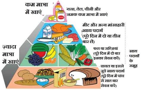 संतुलित आहार चार्ट तालिका लाभ और महत्त्व Santulit Aahar Balanced