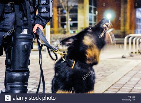 Police Dog Barking Hi Res Stock Photography And Images Alamy