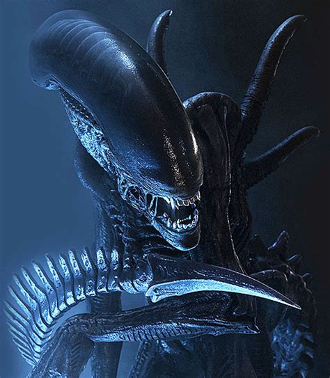 Hissing xenomorph and illustrated book: Greatest Sci Fi Warrior Race? | Sherdog Forums | UFC, MMA ...
