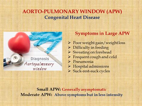 Aorto Pulmonary Window Ap Window Dr Gaurav Agrawal