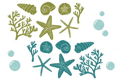 Seashore Shells And Coral Clipart In Retro Bold By Amanda Ilkov
