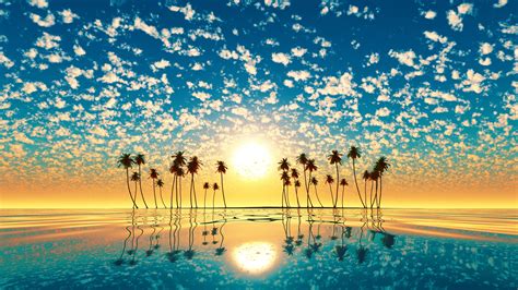 Sunset Palm Tree Wallpapers Wallpaper Cave