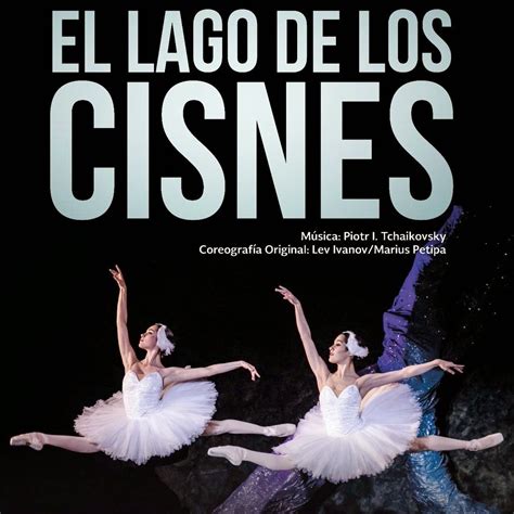 Mix Informativo Cdmx El Lago De Los Cisnes 2015 En Chapultepec
