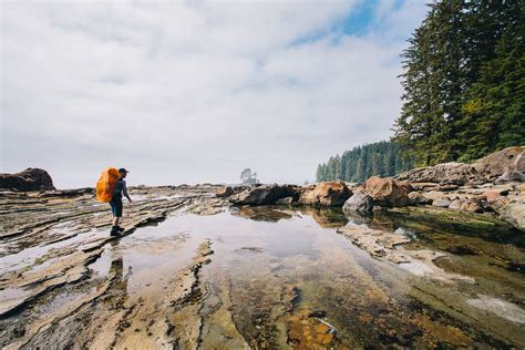 Hiking The West Coast Trail Vancouver Landscape And Adventure