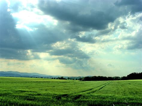 Green Fields With Blue Sky