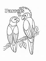 Parrot Coloring Pirate Printable Parrots Realistic Getcolorings Pag Animals sketch template