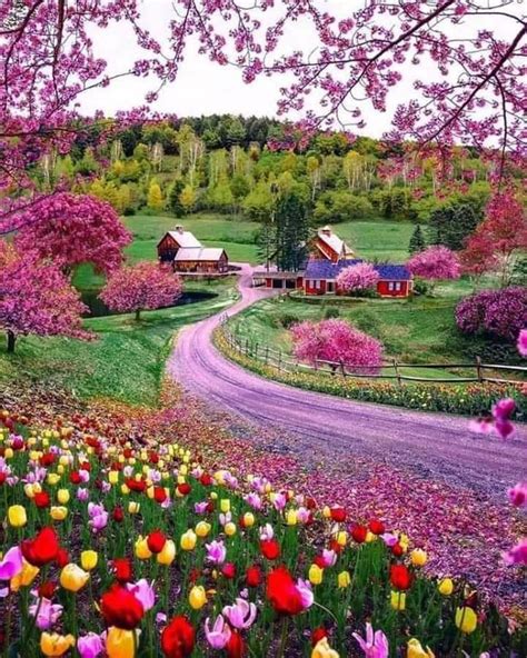 Pin By Christine Beasley On Flowers Spring Scenery Beautiful Nature