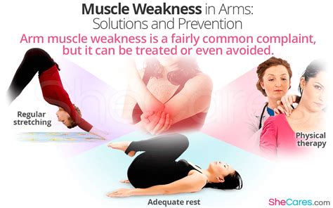 Check spelling or type a new query. Muscle Weakness in Arms: Solutions and Prevention | SheCares