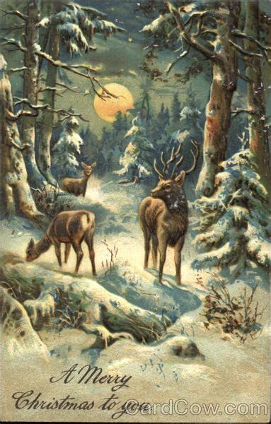 Snowy Forest Scene With Deer Christmas