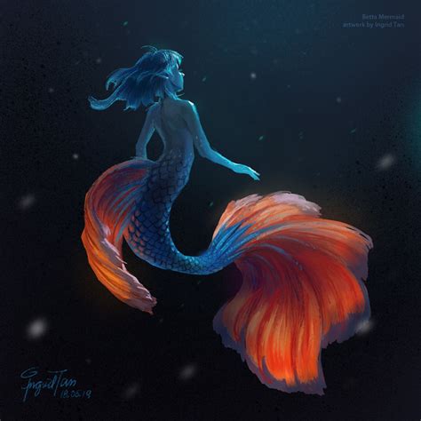 Betta Mermaid By Ingridtan On Deviantart Mermaid Artwork Mermaid