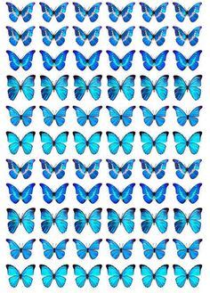 Ideas De Mariposas Para Imprimir Mariposas Para Imprimir Mariposa