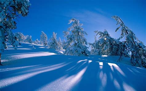 Tapeta Na Monitor Zima Zima Sníh Krásně Bílé Pozadí