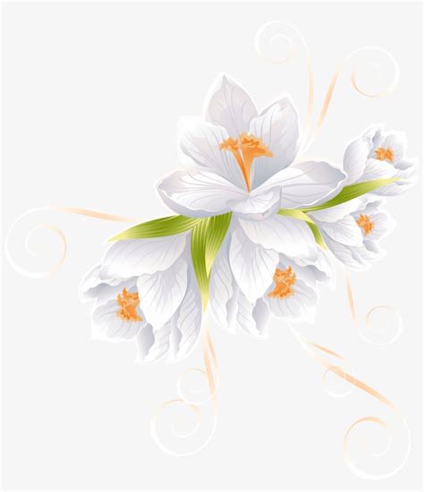 White Flower Vector Png 10 Free Cliparts Download Images On