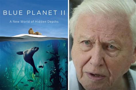 David Attenborough Dropped From Next Series Of Bbcs Blue Planet