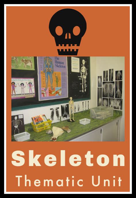 Skeleton Thematic Unit — Kindergarten Kiosk