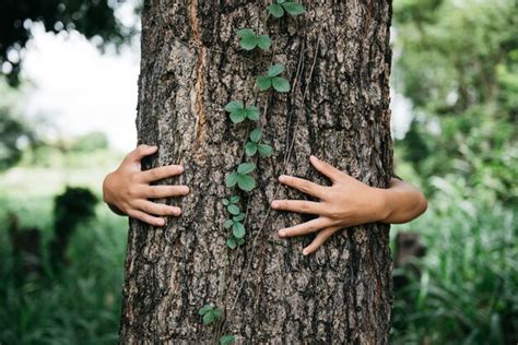 Premium Photo Close Up Of Child Hands Hugging Tree With Copy Space
