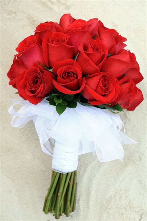 Solid Red Rose Bouquet With White Ribbon Stem Wrapping Floral