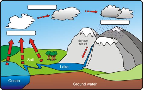 Water Cycle Diagram To Label And Color Png Anatomy Of Diagram