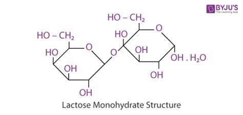 Lactose Structure Molecule