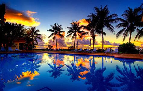 45 Blue Palm Tree Sunset Wallpapers Download At