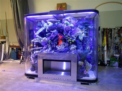 Cool Fish Tank Ideas Related Images Of How To Build Your Own Aquarium