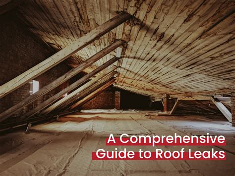 Why Is My Roof Leaking A Comprehensive Guide To Roof Leaks