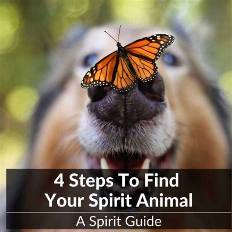 4 Steps To Find Your Spirit Animal An Easy Guide