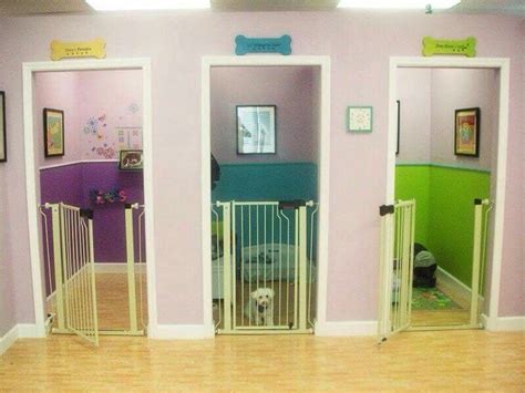 Doggie Heaven Dog Rooms Home Animal Room