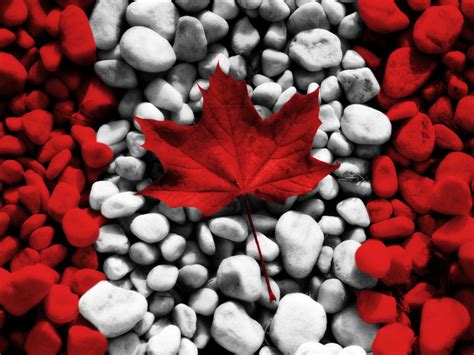 Canada Day Wallpaper Hd Collection