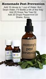Images of Pest Spray Baby