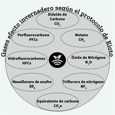 La Huella Del Carbono Y La Agricultura De Precisión Plantae